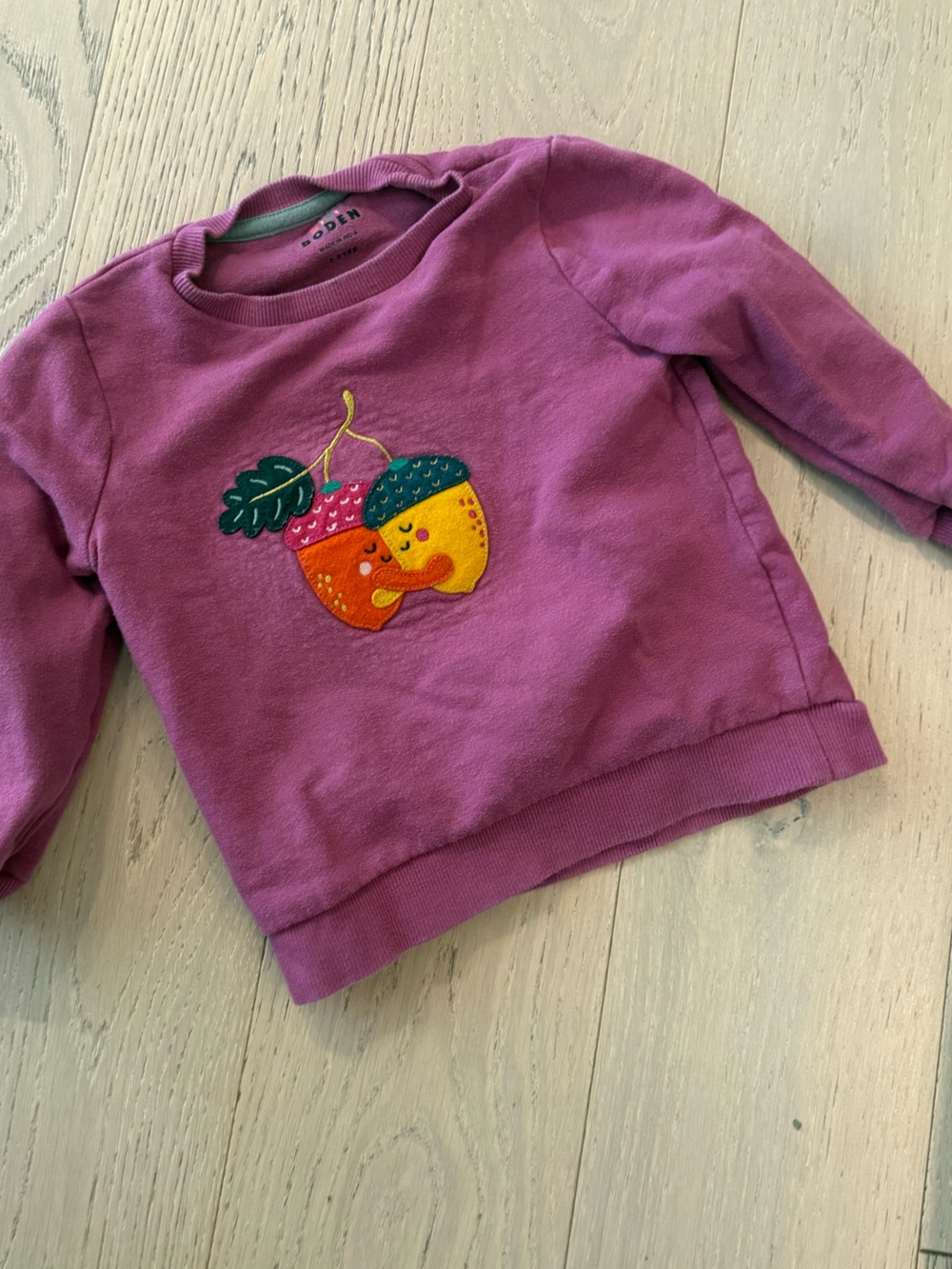 Boden Purple Girls' Fruit Appliqué Sweatshirt
